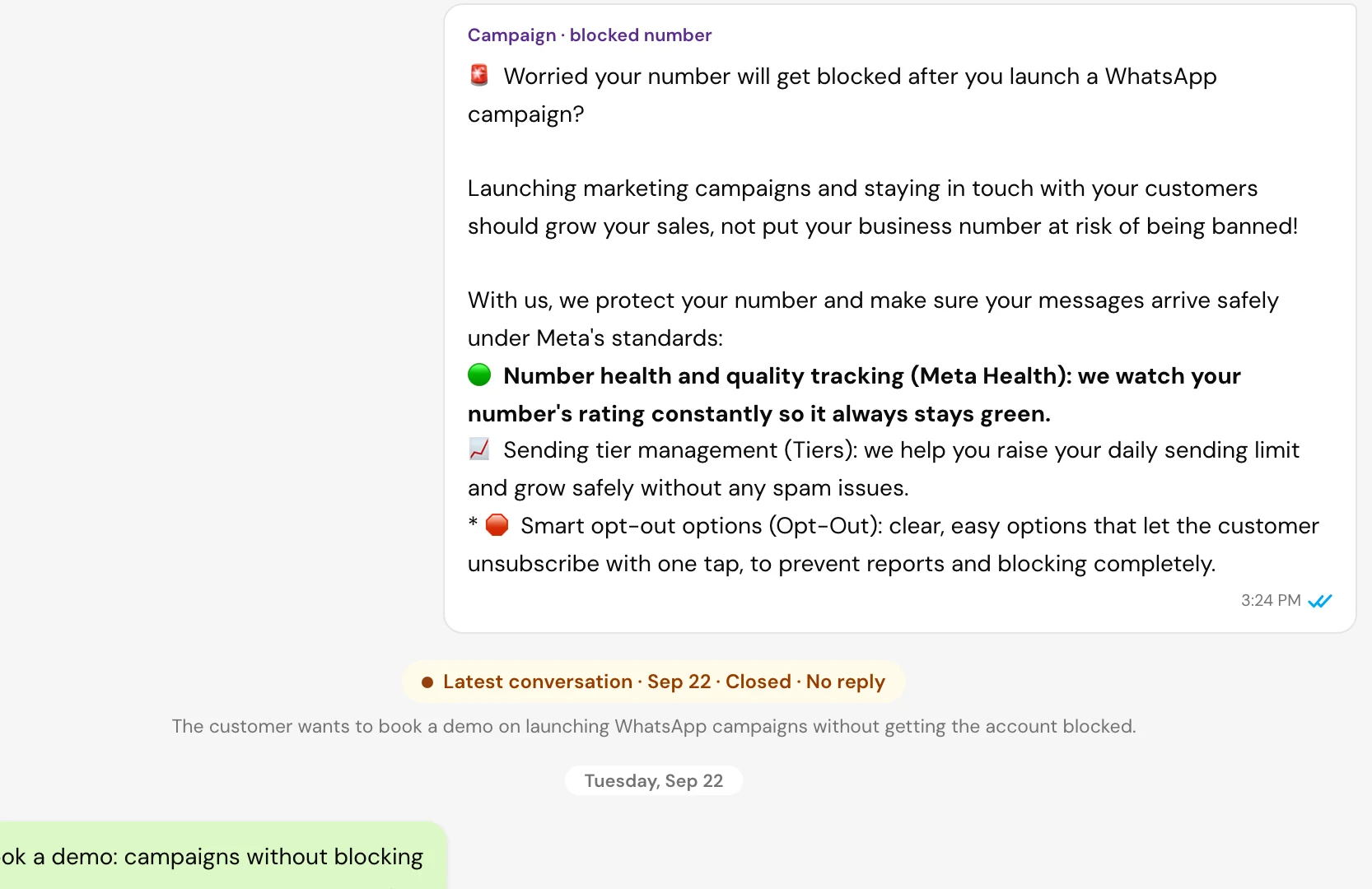 The campaign message inside the customer conversation